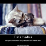 Madres solteras frases
