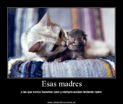 Madres solteras frases